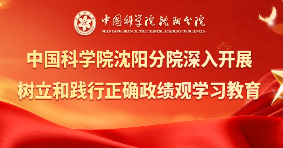 沈阳分院分党组召开第二期树立和践行正确政绩观学习教育读书班暨理论学习中心组集体（扩大）学习会