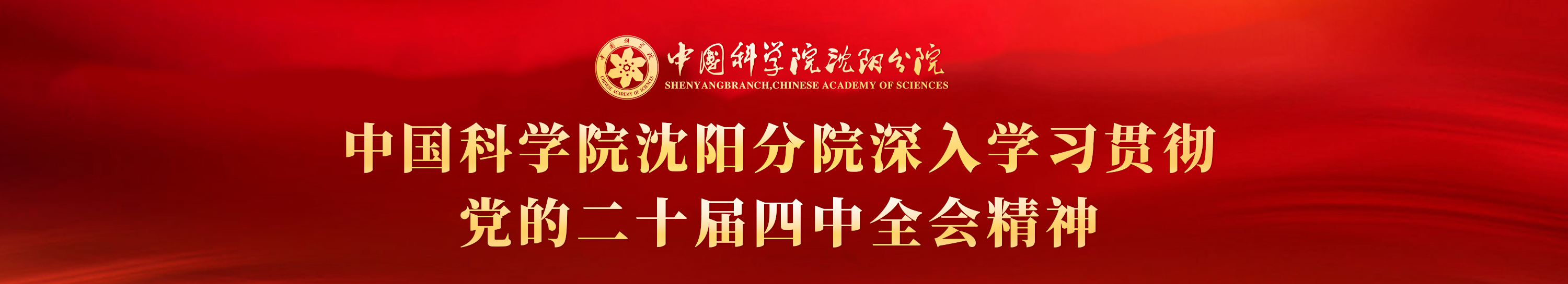 深入学习贯彻党的二十届四中全会精神